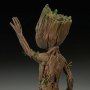 Groot Baby (Sideshow)