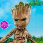 Groot Deluxe