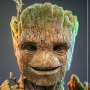 Groot Deluxe