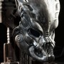 Guardian Predator Mask (studio)