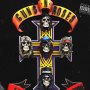 Appetite For Destruction 3D Vinyl