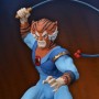 Thundercats: Tygra