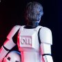 Han Solo Stormtrooper Disguise