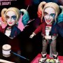 Harley Quinn Egg Attack