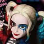 Harley Quinn Egg Attack