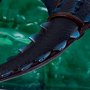 Harold And Toothless