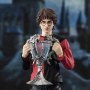 Harry Potter: Harry Potter