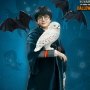 Harry Potter Child Halloween