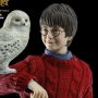 Harry Potter Child XMAS