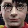 Harry Potter Quidditch