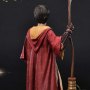 Harry Potter Quidditch
