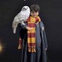 Harry Potter With Hedwig