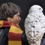 Harry Potter With Hedwig