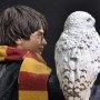 Harry Potter With Hedwig