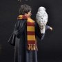 Harry Potter With Hedwig