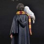 Harry Potter With Hedwig