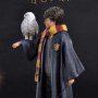 Harry Potter With Hedwig