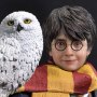 Harry Potter With Hedwig