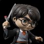 Harry Potter With Sword Of Gryffindor Mini Co