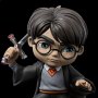 Harry Potter With Sword Of Gryffindor Mini Co