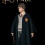 Harry Potter: Harry Potter