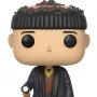 Home Alone: Harry Pop! Vinyl