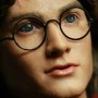 Harry Potter And Goblet Of Fire