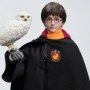 Harry Potter Hogwarts Uniform Premium
