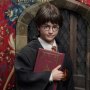 Harry Potter Hogwarts Uniform Premium