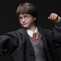 Harry Potter Hogwarts Uniform Premium