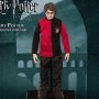 Harry Potter: Harry Potter Triwizard Tournament Flash