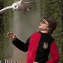 Harry Potter Triwizard Tournament Flash
