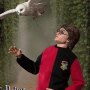 Harry Potter Triwizard Tournament