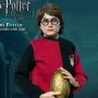 Harry Potter Triwizard Tournament Flash