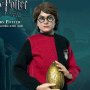 Harry Potter Triwizard Tournament