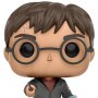 Harry Potter: Harry Potter With Prophecy Pop! Vinyl