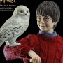 Harry Potter Year One Casual Wear