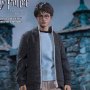 Harry Potter Teenage
