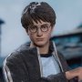 Harry Potter Teenage