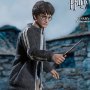 Harry Potter Teenage