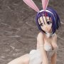 Haruna Sairenji Bare Leg Bunny