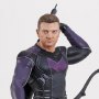 Hawkeye Clint Barton