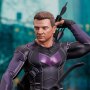 Hawkeye: Hawkeye Clint Barton