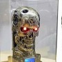 T-800 Endoskull (studio)