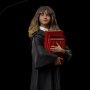 Harry Potter: Hermione Granger