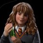 Hermione Granger Polyjuice