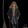 Harry Potter: Hermione Granger
