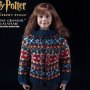 Harry Potter: Hermione Granger  Year One Casual Wear