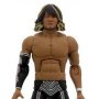 New Japan Pro-Wrestling: Hiroshi Tanahashi Ultimates