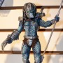 Predator Hive Wars